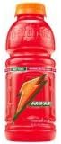 Gatorade Fruit Punch 20 oz (591 ml) - 12 Pack
