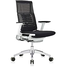 POwerFIT Exec Chair Black Fabric SEAT/MESH Back-White Frame