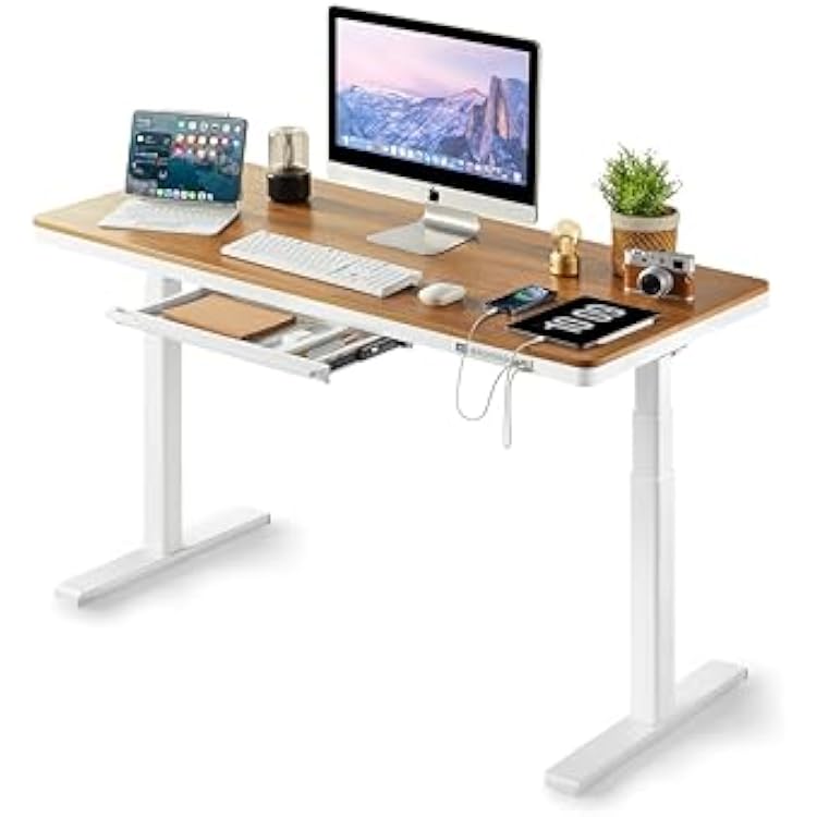 KINGSMITH 48x24 Inches Whole Piece Electric Standing Desk with Drawer, Height Adjustable Stand up Desk for Home Office, Ergonomic Sit to Stand Desk Computer Workstation, Rustic Brown