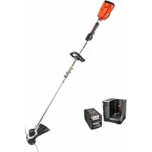 ECHO 2 AH Cordless String Trimmer w