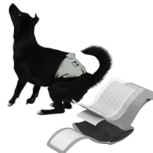 PAWPANG Copper Fit Mate Washable Male Dog Belly Band Kit 1 Reusable Male Wrap with 15 Dog Diaper Liners, Ideal for Senior Dogs, Incontinence, and Marking, M