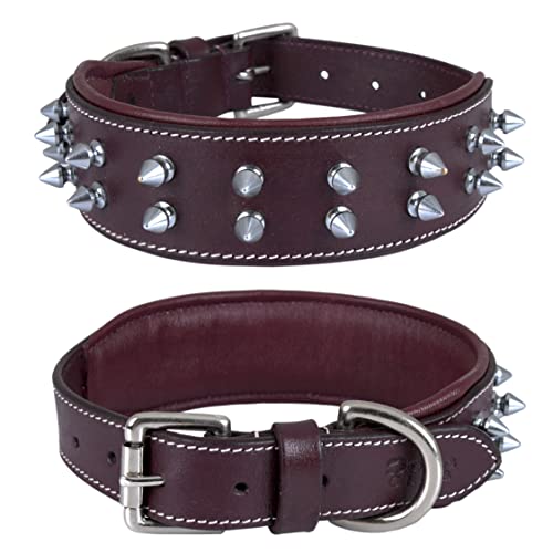 | Genuine Leather Spike Dog Collar | Full Grain, Heavy Duty | Comfortable, Strong, Best for Medium, Large, XL Breeds | 1.75 Wide M Fit Neck 14.5-18.5, Cherry with Silver Spikes