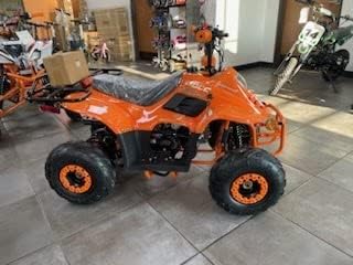 Taotao 110cc Four Wheelers 6" Tires Atvs Kids ATV Spider Pink