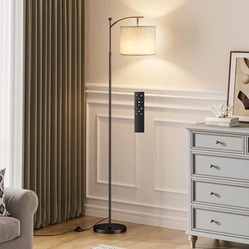 Ambimall 60" Floor Lamp with Remote Control and Stepless Dimmable Bulb, Colors Temperature & Brightness Adjustable, Modern Floor Lamps for Living Room, Gray Shade & Black Pole