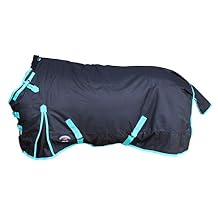 Challenger 1200D Horse Turnout Waterproof Heavy-Weight Winter Blanket 550G