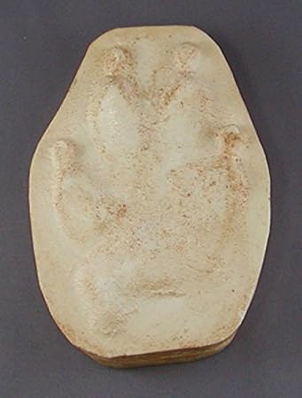 Wolf Track Replica