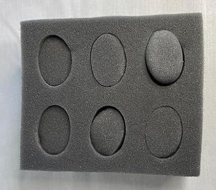 Foam Egg Shipper 6 Chicken Duck Egg (2 Count Egg Shipper)