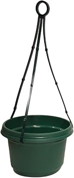 Single Hanging Flower Pot with Hanger, 9 inch Hunter Green, Single, Plastic Flower Pot, seedlings, Nursery, Colorful Flower Planter, Seed Starting Pot with Hanger