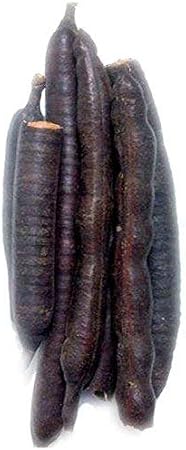 dICE IndianJadiBooti Long Amaltas Cassia Fistula Phali Pudding Pipe Fali- 200g