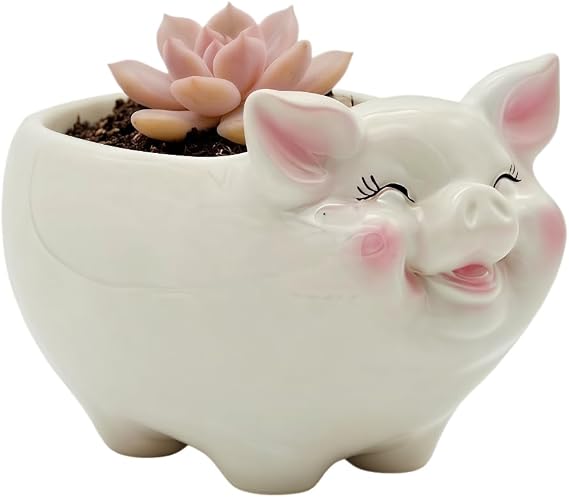 Cuteforyou Succulent Pots, Cute Animal Pig Shaped Ceramic Cactus Flower Planters -Plant Not Included (White, Medium)