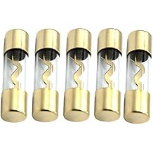 Etopar 5 X 100A AGU Fuse Car Auto Audio Power Safety Protect Glass Tube Gold Plated Radio