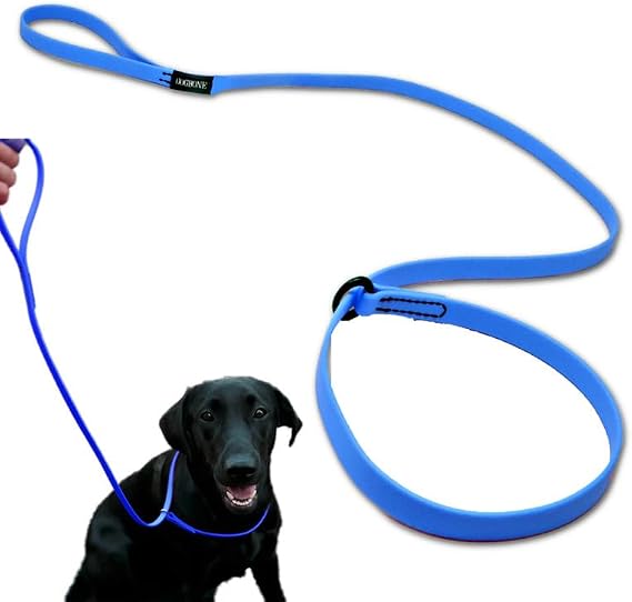 Slip Lead Dog Leash for Small, Medium & Large Dogs & Puppies, No Pull Style