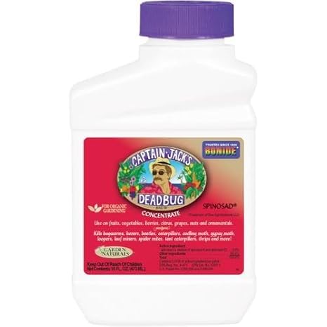 Captain Jack Deadbug16oz