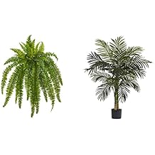Nearly Natural 35" Boston Fern (Set of 2) Silk Plants + 4ft. Golden Cane Palm Tree