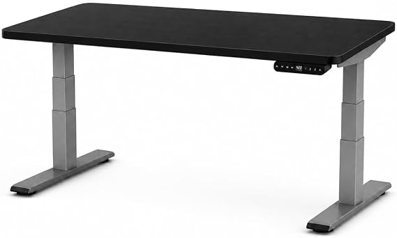 Rise Up Electric Standing Desk Adjustable Height 24-49" Dual Motor One Piece Bamboo Large Standing Desk 48x30, Sit Stand Desk Rising Desk Home Office