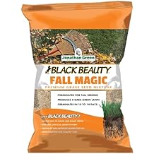 Fall Magic GRAS Seed 25#