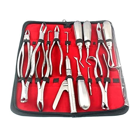 G.S - Assorted Set of 15 PCS Dental Instruments