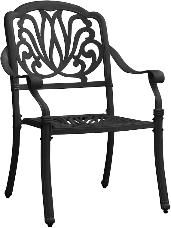 Cast Aluminum Patio Dining Chairs Set of 2, Black Outdoor Armchairs for Garden and Deck