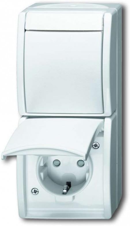 Busch-Jaeger 2601/6/20 EBW Combination SCHUKO socket with Rocker Switch