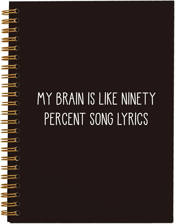hold fizz Funny Office Notebooks for Work Coworkers, Music Notebook Journal, Music Teacher Gifts, Funny Journal, Work Humor Gifts, Journals for Writing(5.5'' X 8.3'')