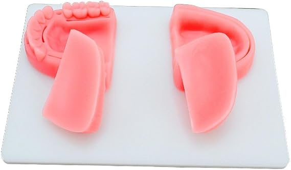 Dental Suture Practice Model Oral Suture Educational Model Dental Suture Pad Suture Thread Model Multi-Wound Gum Practice Dental Nurse Oral Suture Training