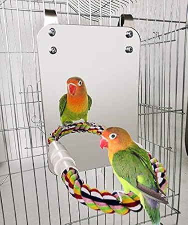 7 Inch Bird Mirror for Cage, Parakeet Mirror with Rope Perch for Birds