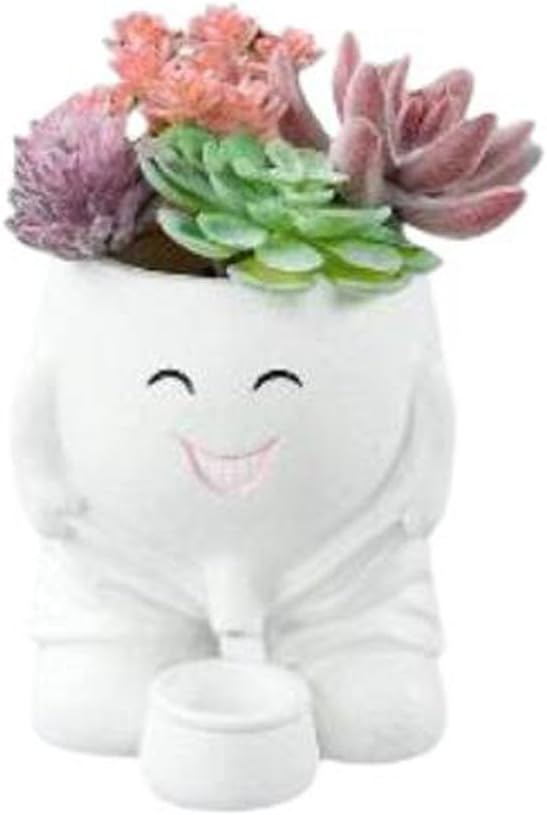 Face Planters Pots Head. Unique Succulent Pots for Plants for Indoor and Outdoor Decor, Cute Face Planter t (White)