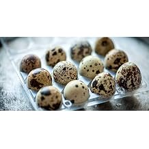 Hatching Time 12-Egg Carton (Quail) Clear Plastic 25 Pack | Durable Reusable Egg Carton | Holds Small to Extra-Large Eggs | Ideal Quail Egg Cartons for Farmers, Egg Holder, Retail & Gifts