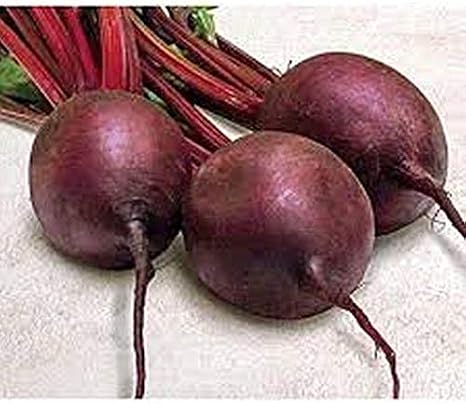 Pacemaker III Hybrid Beet Seeds - A Late Bolting Variety with Excellent Flavor(25 - Seeds)