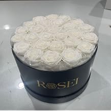ROSEI Forever Preserved Roses in a Box| Real Forever Flowers, Lasting 1-3 Years, Elegant Floral Decor & Gift for Anniversaries, Birthdays & Special Occasions, 27 Flower Bouquet Preserved in a Box