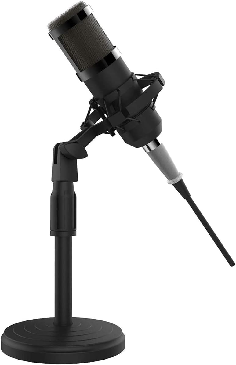 212 Main Record Studio Instrument Condenser Microphone
