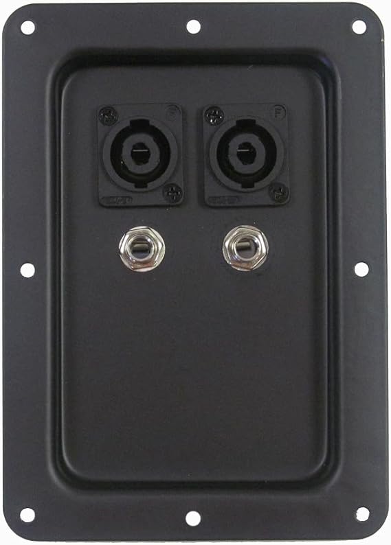 Pro Audio Jack Plate with Dual Speakon and Dual 1/4" PA/DJ Speaker Cabinet