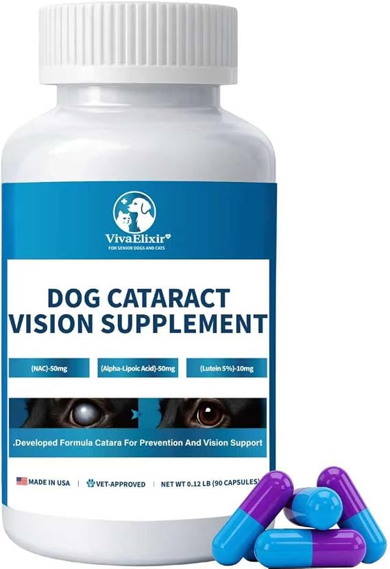 Eye Supplements for Dogs - Vision Support Soft Chews with Lutein, DHA & Vitamin C | 120ct Salmon Flavor Tear Stain Chews | Cataract & Dry Eye Relief Supplement (90 Ct)