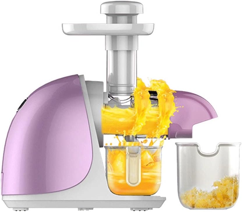 Juicer Machines Stainless Steel Slow Masticating 150W Easy to Clean Ceramic Auger Makes High Nutritive Fruit Vegetable Juice Anti-drip Design