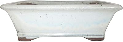Brussels Bonsai 8 Rectangle Glazed Ceramic Bonsai Pot - Medium, New Cream, Great for Outdoor and Indoor Bonsai Trees