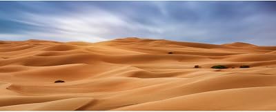 Renaiss 20x10ft Sand Dunes Photography Backdrop Desert Sahara Gobi Yellow Sand Mountain Background Western Nature Landscape Backgrounds Wilderness Birthday Party Photo Video Shoot Studio Props