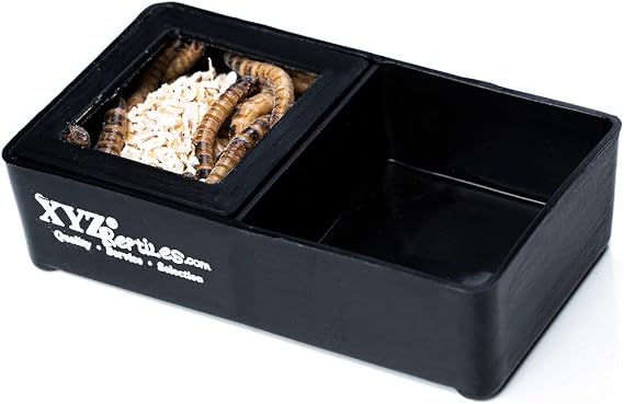XYZReptiles Mealworm Feeding Dish Water Bowl Combo