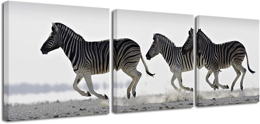 Pyradecor Zebra Canvas Prints Wall Art Black and White Animals Pictures Paintings for Living Room Bedroom Bathroom Home Decorations 3 Piece Modern Stretched Horse Artwork