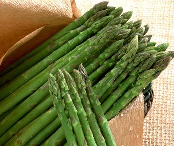 Bulk Organic Asparagus UC-157 F2 Seeds (25 lbs) Non GMO