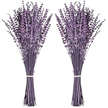 Dried Lavender Flower Bundle for Vase Decor 15''-17'' 3oz(84g) Preserved Purple Flower Bouquet Floral for Wedding Table Home Decor DIY Craft, Dry Plants, Fragrance