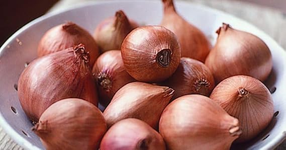 Generic Fresh Shallots, USA Grown, Non-GMO, Allium schoenoprasum Sweet Onion, Bulk 5 Pounds