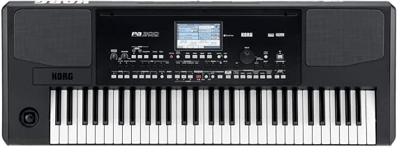 KORG Electronic Keyboard Professional Arranger Pa300 61 Keys
