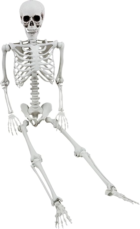 XONOR 5.4ft/165cm Halloween Posable Skeleton - Realistic Human Skeletons Full Body Bones with Movable Joints for Halloween Props Spooky Party Decoration