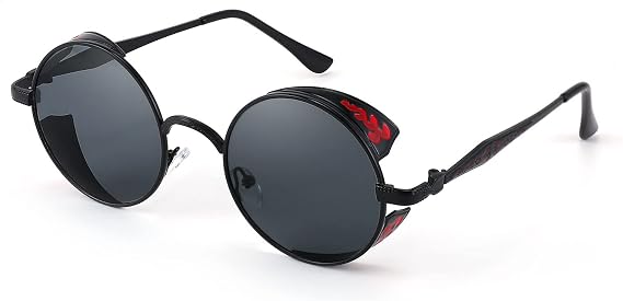 FEISEDY Retro Steampunk Sunglasses for Men Women, Round Metal Frame Gothic Vintage Style B2820