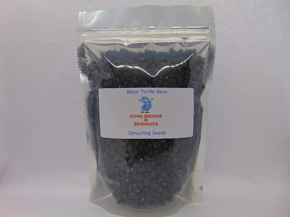Black Turtle Black Bean Seed, 4 ounces. The black turtle bean has a dense, meaty texture. Great for soups, stews and Sprouting. A small town family run USA business.
