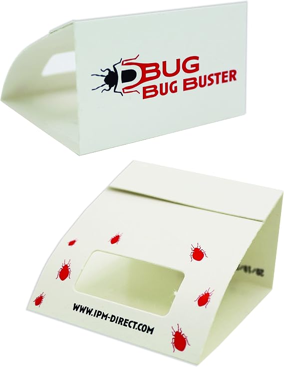 DBUG Bug Buster Sticky Spider Trap For Home - Indoor Spiders and Crawling Insect Killer Traps - Child and Pet Safe (6)