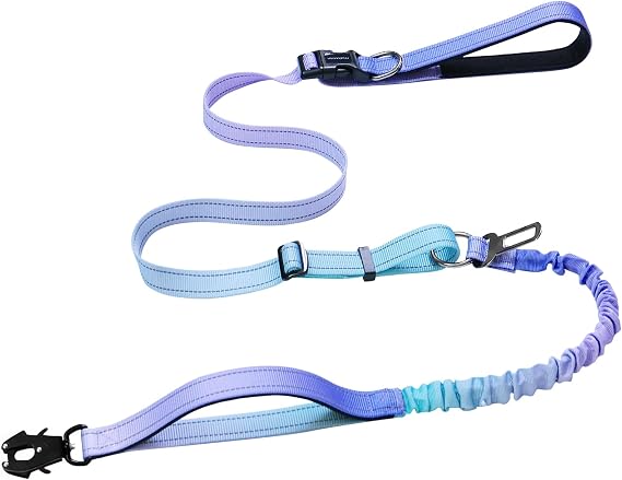 Heavy Duty Dog Leash with Quick Release Carabiner and Adjustable Bungee Pull Strap for Walking and Training with Car Seat Belt 4-6 FT Purple