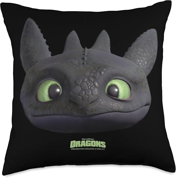 DreamWorks Dragons Toothless Night Fury Big Face Costume 3D Throw Pillow