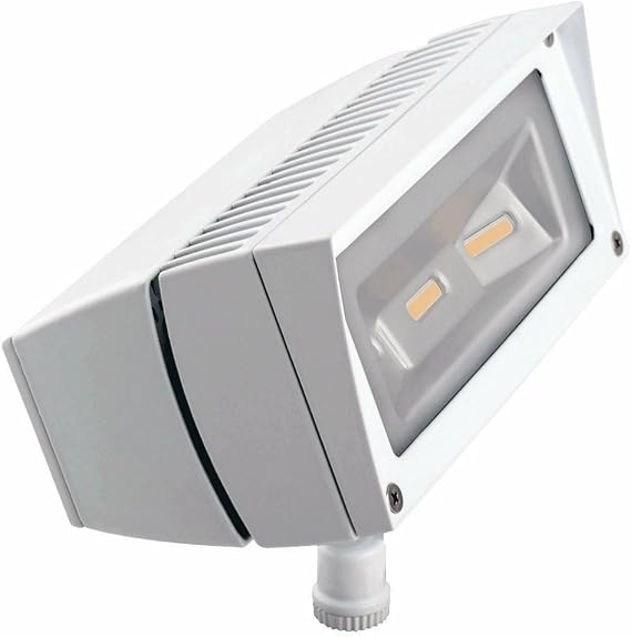 RAB Lighting FFLED18YW Future Flood 18W Warm LED, 120V/277V, White