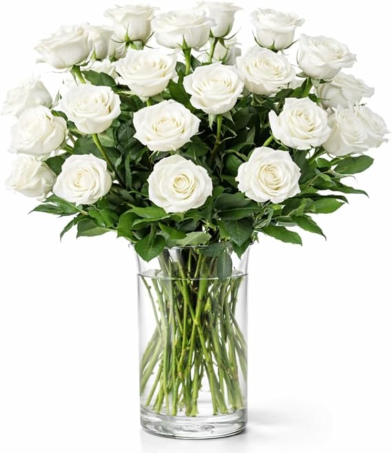 BloomsyBox - White Roses - 24 Long Stems,Long Lasting, Hand-Tied in Eco-friendly, Vase Not Included, Fresh Flowers for Delivery Ideal for Birthday, Anniversary, Get Well, Congratulations, Wedding